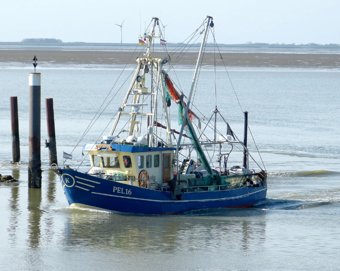 Embarcações de Pesca Profissional